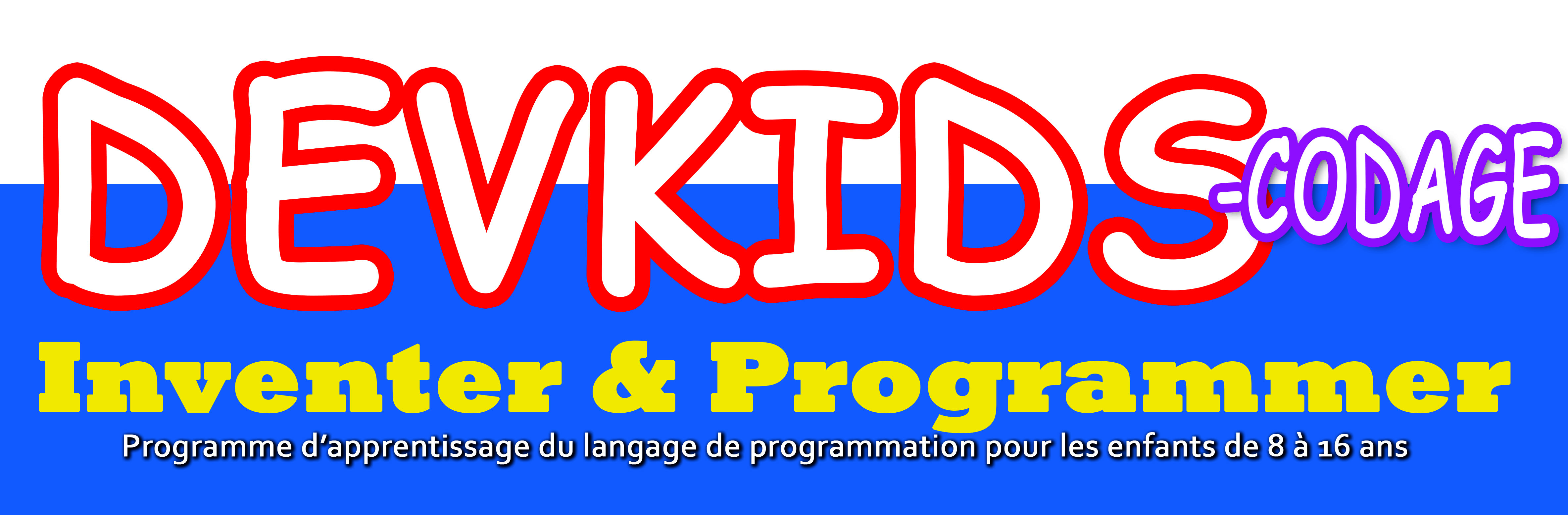 DEVKIDS-PROGRAMMATION-panel consulting